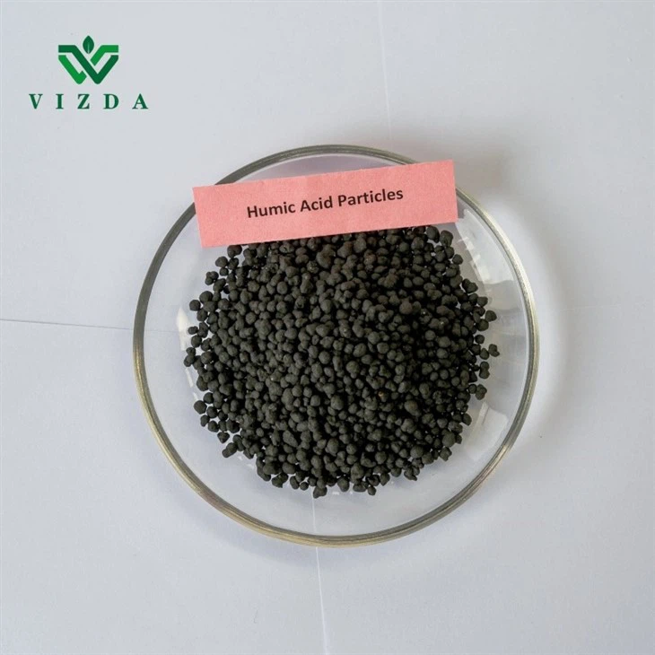 Humic Acid Black Granular