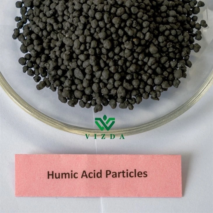 Humic Acid Brown Granular Fertilizer